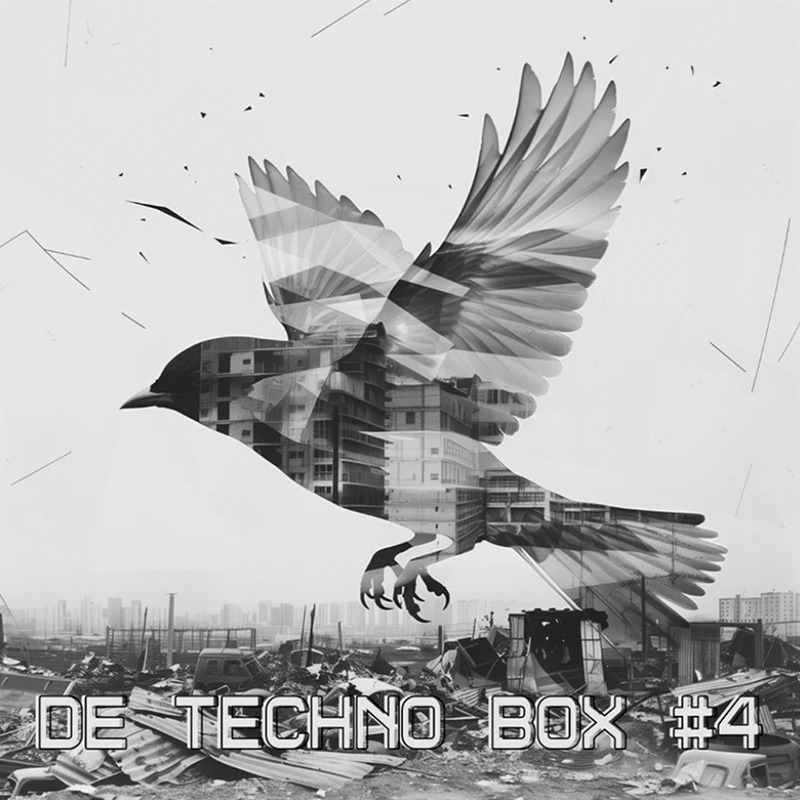 Techno Box #4 De Vinyl Klub